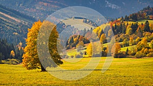 Autumn landscape with brightly colored trees and hills