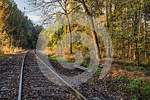 Autumn landscape of  brightly colored woods with railroad tracks cutting through