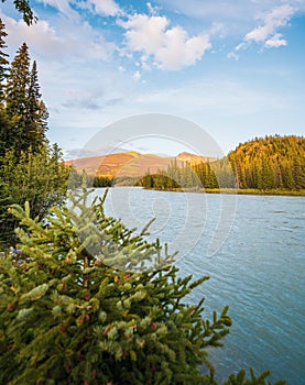 Autumn landscape in the Canadian Rockies