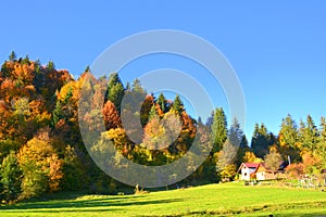 Autumn landscape in the Carpathian Mountains, Transylvania, Romania. Yellowed leaves and a beautiful nature
