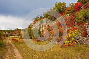 Autumn Landscape in the Carso photo