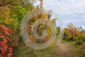 Autumn Landscape in the Carso photo