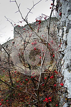 Autumn landscape with castle