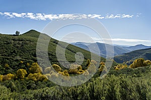 Autumn landscape in the Caurel mountains photo