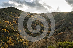 Autumn landscape in the Caurel mountains photo