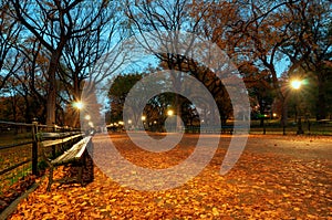 Autumn landscape in Central Park. New York City.