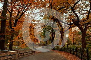 Autumn landscape in Central Park. New York City.