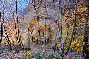 Autumn landscape from Cerna Mountains Romania panorama