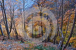 Autumn landscape from Cerna Mountains Romania panorama