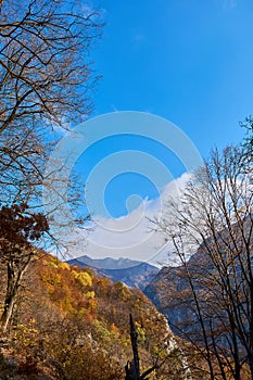 Autumn landscape from Cerna Mountains Romania panorama