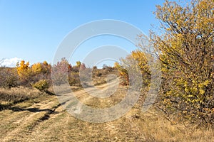Autumn landscape of Cherna Gora Monte Negro mountain, Pernik Region, Bulgaria