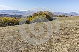 Autumn landscape of Cherna Gora mountain, Bulgaria