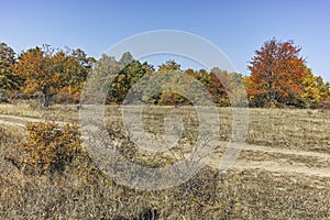 Autumn landscape of Cherna Gora mountain, Bulgaria