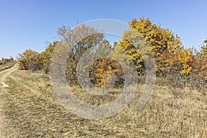 Autumn landscape of Cherna Gora mountain, Bulgaria