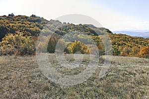 Autumn landscape of Cherna Gora mountain, Bulgaria