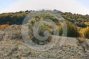 Autumn landscape of Cherna Gora mountain, Bulgaria