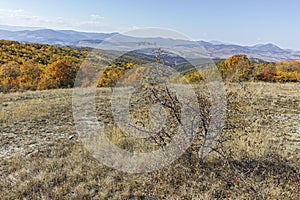 Autumn landscape of Cherna Gora mountain, Bulgaria