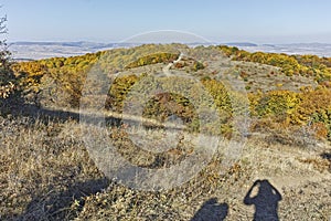 Autumn landscape of Cherna Gora mountain, Bulgaria