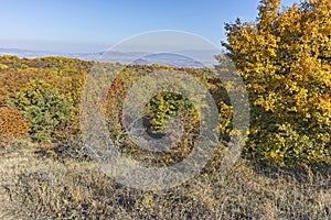 Autumn landscape of Cherna Gora mountain, Bulgaria