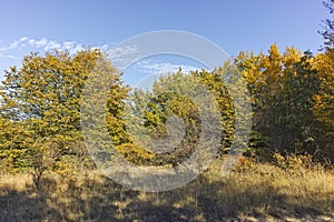 Autumn landscape of Cherna Gora mountain, Bulgaria