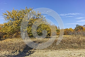 Autumn landscape of Cherna Gora mountain, Bulgaria