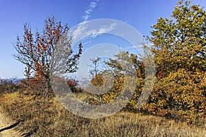 Autumn landscape of Cherna Gora mountain, Bulgaria