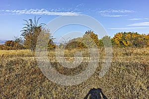 Autumn landscape of Cherna Gora mountain, Bulgaria