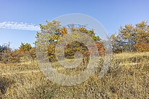 Autumn landscape of Cherna Gora mountain, Bulgaria