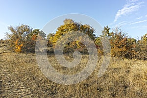 Autumn landscape of Cherna Gora mountain, Bulgaria