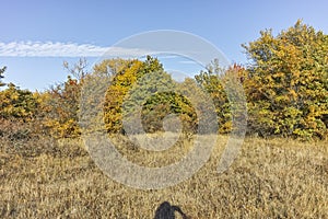 Autumn landscape of Cherna Gora mountain, Bulgaria