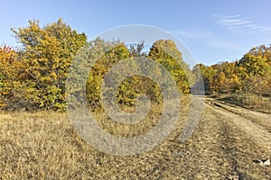 Autumn landscape of Cherna Gora mountain, Bulgaria