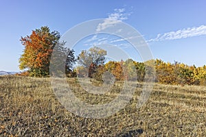 Autumn landscape of Cherna Gora mountain, Bulgaria