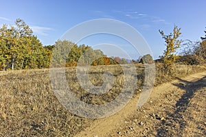 Autumn landscape of Cherna Gora mountain, Bulgaria