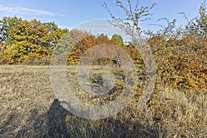 Autumn landscape of Cherna Gora mountain, Bulgaria