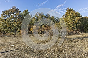 Autumn landscape of Cherna Gora mountain, Bulgaria