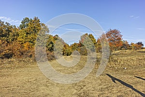 Autumn landscape of Cherna Gora mountain, Bulgaria