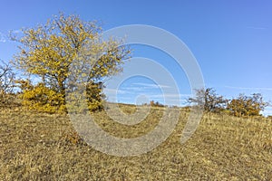 Autumn landscape of Cherna Gora mountain, Bulgaria