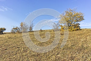 Autumn landscape of Cherna Gora mountain, Bulgaria