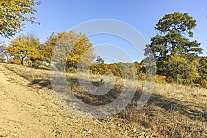 Autumn landscape of Cherna Gora mountain, Bulgaria