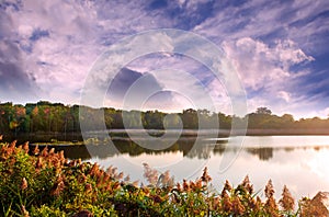 Autumn landscape of a Chesapeake Bay lake during sunset photo