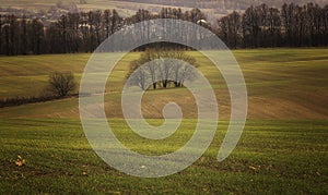Autumn landscape in a cloudy day Poles'e