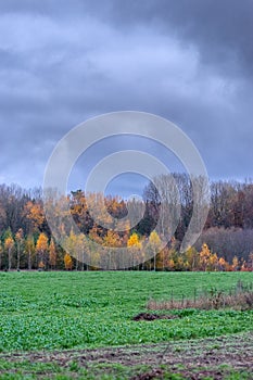 Autumn landscape with cloudy sky