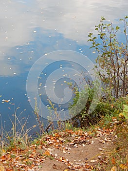 Autumn landscape