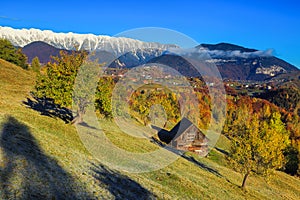 Autumn landscape with colorful deciduous trees and snowy mountains, Romania