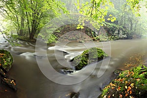 Autumn landscape, colorful leaves on trees, morning at river. Autumn stream. A misty morning near a picturesque river, Alps