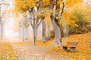 Autumn landscape with colorful trees, bench, lantern and pathway in park or forest on foggy morning. Fall landscape