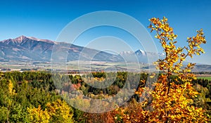 Autumn landscape with colorful trees and high peaks at bacground
