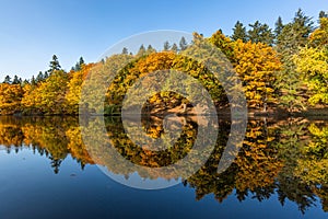 Autumn landscape with colorful trees and lake