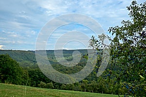 Autumn landscape with colorful trees near Daun, Eifel