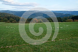 autumn landscape with colorful trees near Daun, Eifel